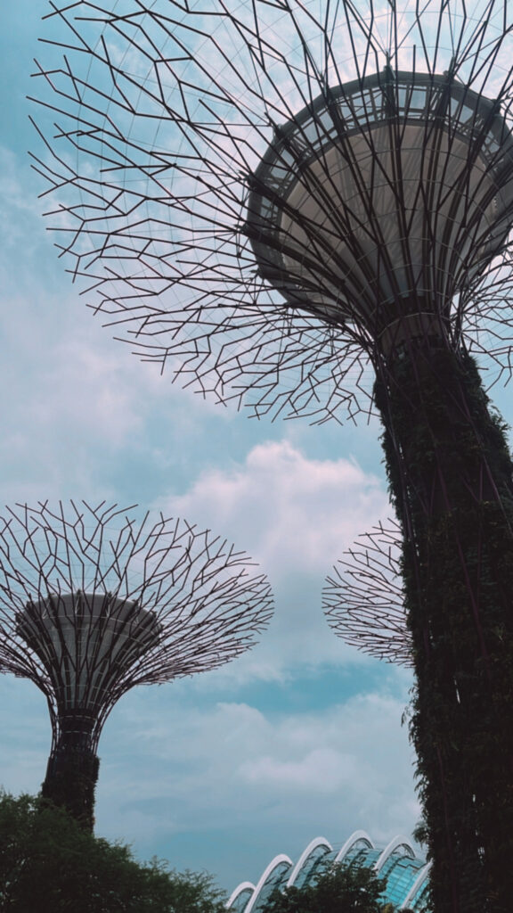 The ultimate Singapore travel checklist for a short weekend break the gardens by the bay Singapore travel guide