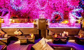 Cavalli Club restaurant & lounge